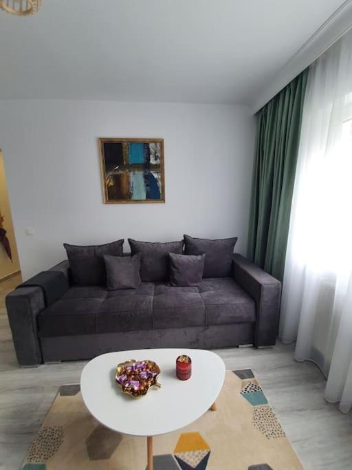 Apartament Ama Sibiu Dış mekan fotoğraf