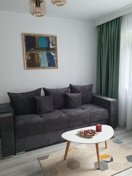 Apartament Ama Sibiu Dış mekan fotoğraf