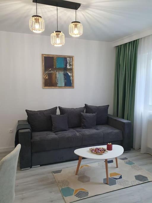 Apartament Ama Sibiu Dış mekan fotoğraf