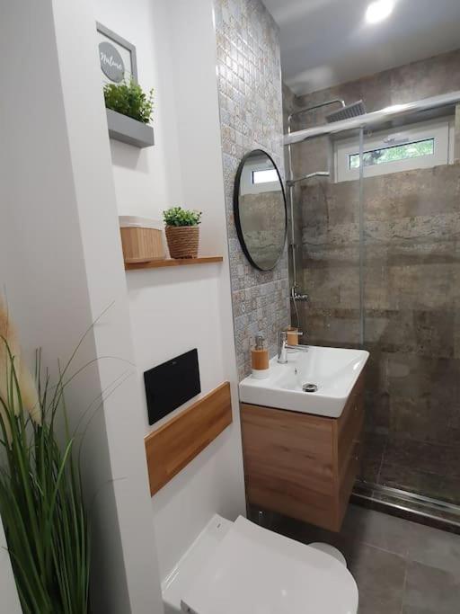 Apartament Ama Sibiu Dış mekan fotoğraf